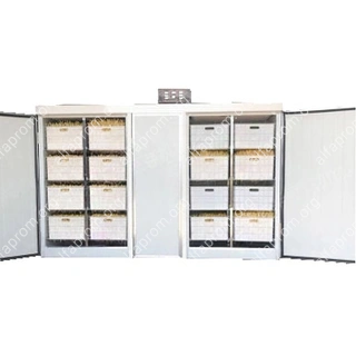 Проращиватель семян, бобов, злаков BSC-200A Foodatlas