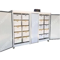 Проращиватель семян, бобов, злаков BSC-300A Foodatlas