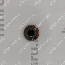 Поршень с кольцами (PTFE) для LPF/PPF-50(T)