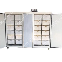 Проращиватель семян, бобов, злаков BSC-400A Foodatlas